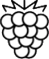 blackberry health benefits